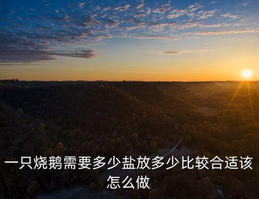 一只燒鵝需要多少鹽放多少比較合適該怎么做