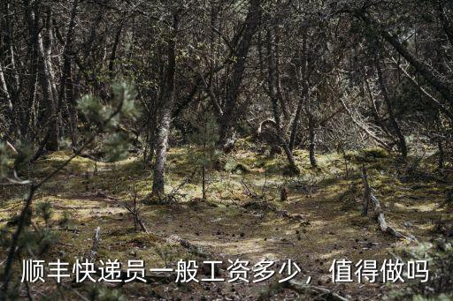 寧波順豐快遞員一個月工資多少,順豐快遞員一般工資多少