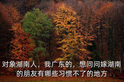 對象湖南人，我廣東的，想問問嫁湖南的朋友有哪些習慣不了的地方