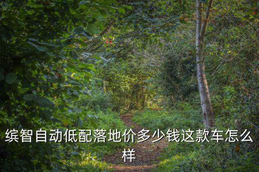 繽智自動低配落地價多少錢這款車怎么樣