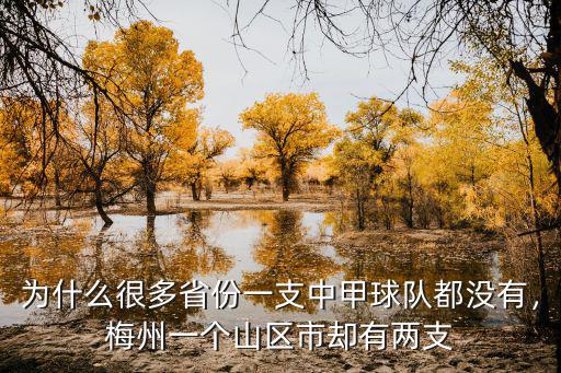 梅州一共有多少個幼兒園,廣東有多少個市