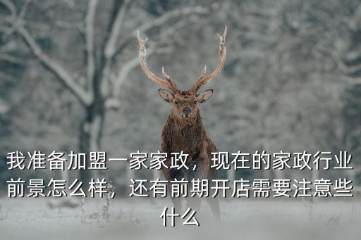 我準(zhǔn)備加盟一家家政，現(xiàn)在的家政行業(yè)前景怎么樣，還有前期開店需要注意些什么