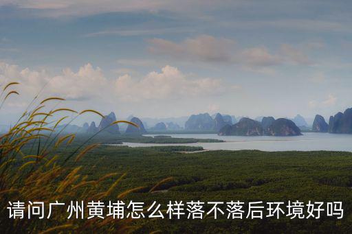 廣州黃埔區交通怎么樣,請問廣州黃埔怎么樣