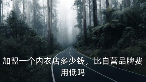 加盟一個(gè)內(nèi)衣店多少錢(qián)，比自營(yíng)品牌費(fèi)用低嗎