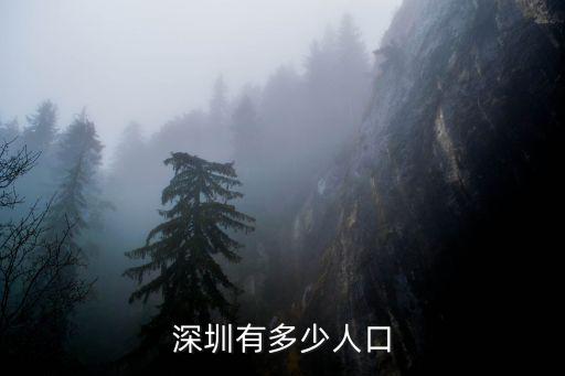 深圳人口有多少英文,深圳有多少人口