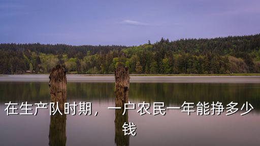 在生產隊時期，一戶農民一年能掙多少錢