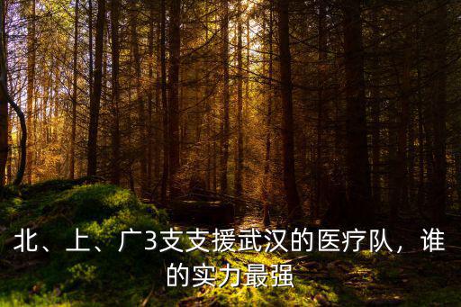 汕頭支援武漢醫(yī)療隊多少支,廣3支支援武漢的醫(yī)療隊