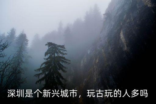 深圳有多少個古玩市場,深圳那里有古玩市場