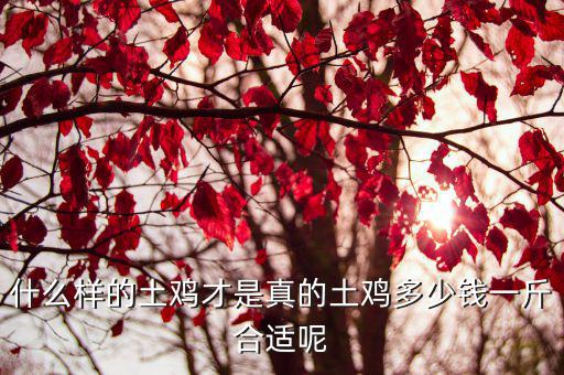什么樣的土雞才是真的土雞多少錢一斤合適呢