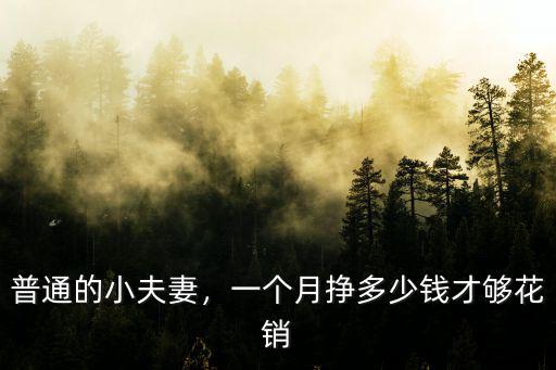 廣東夫妻一年掙多少錢,錢掙多少是個夠