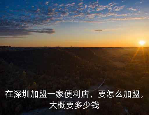 深圳超市加盟要多少錢,在深圳加盟一家便利店