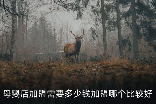 東莞孕嬰店加盟投資多少錢,母嬰店加盟需要多少錢