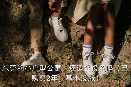 東莞的小戶型公寓，還適合投資嗎（已購買2年，基本沒漲）