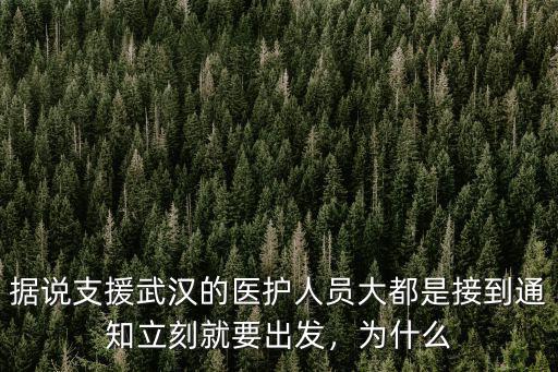 廣東多少醫師支援武漢,為什么沒多少外省支援廣東