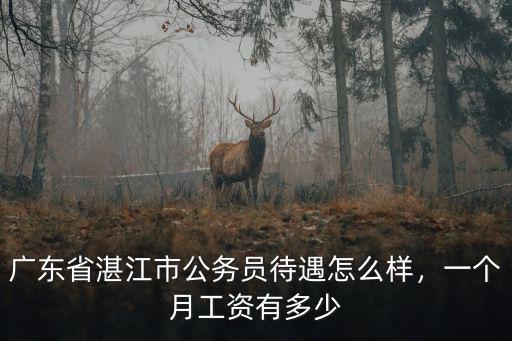 湛江公務員副科級工資有多少,副科級公務員基本工資多少