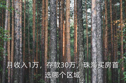 月收入1萬，存款30萬，珠海買房首選哪個區域