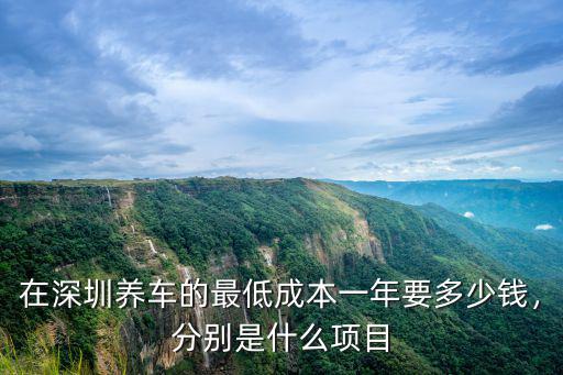 深圳養(yǎng)車一般月薪多少,一個(gè)月要多少錢