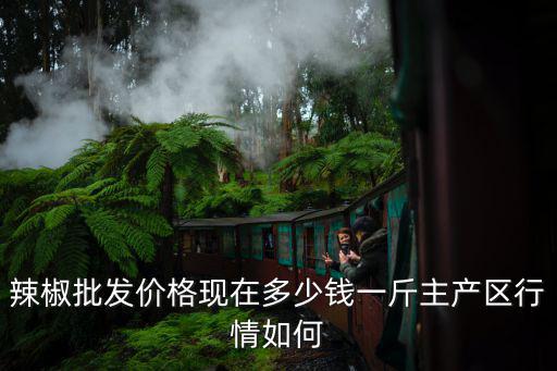 辣椒批發價格現在多少錢一斤主產區行情如何