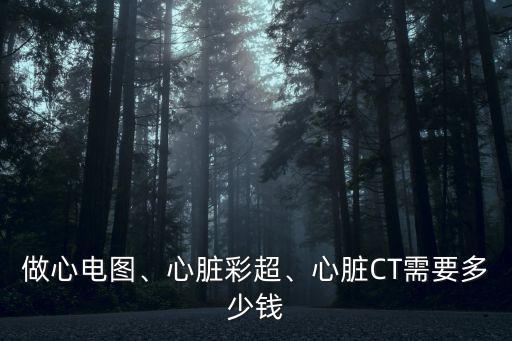 珠海心臟彩超多少錢一次,胎兒心臟彩超多少錢