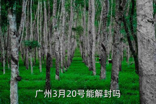 廣州3月20號能解封嗎