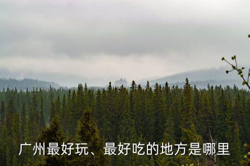 廣州哪里面粉好吃,中國哪里面粉最好吃