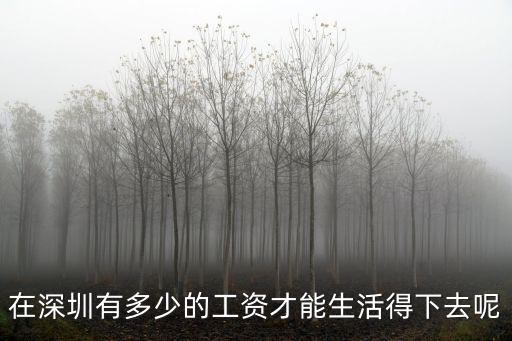 在深圳有多少的工資才能生活得下去呢