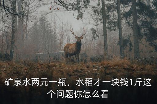 廣州南站礦泉水多少錢一瓶,一瓶礦泉水五塊錢正常嗎