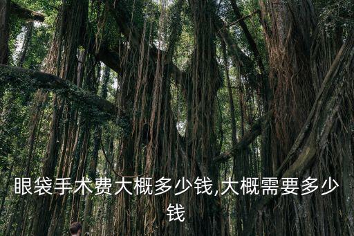 深圳眼袋手術費大概多少錢,大概需要多少錢
