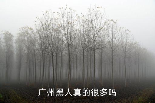 廣州黑人真的很多嗎