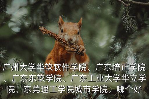 廣州大學(xué)華軟軟件學(xué)院、廣東培正學(xué)院、廣東東軟學(xué)院、廣東工業(yè)大學(xué)華立學(xué)院、東莞理工學(xué)院城市學(xué)院，哪個(gè)好