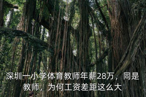 深圳南山外國語學校工資怎么樣,深圳南外高新分校怎么樣