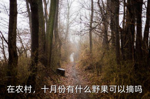 在農(nóng)村，十月份有什么野果可以摘嗎