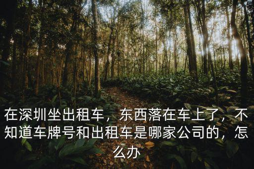 深圳一共有多少出租車公司,在深圳開出租車有什么條件
