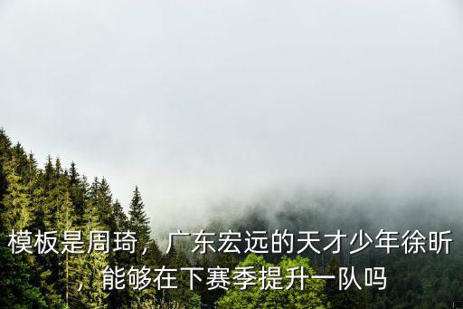 徐昕廣東宏遠(yuǎn)多少歲,廣東宏遠(yuǎn)小將徐昕