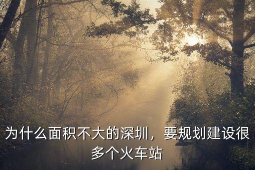 為什么面積不大的深圳，要規劃建設很多個火車站
