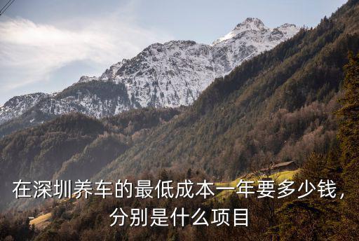 深圳洗車一月多少錢啊,在深圳養一輛車