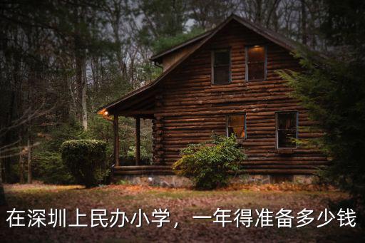 在深圳上民辦小學，一年得準備多少錢