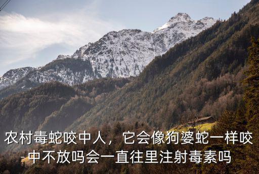 農村毒蛇咬中人，它會像狗婆蛇一樣咬中不放嗎會一直往里注射毒素嗎