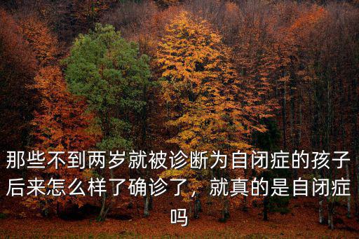 那些不到兩歲就被診斷為自閉癥的孩子后來怎么樣了確診了，就真的是自閉癥嗎
