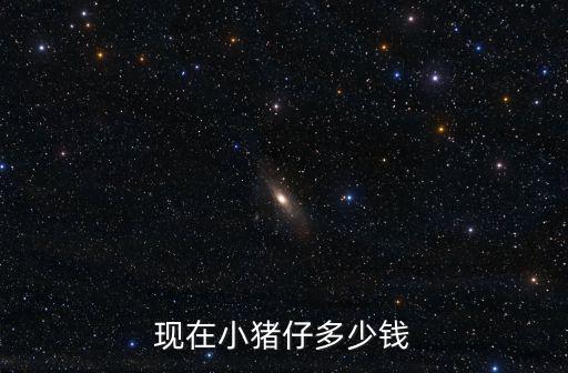 梅州興寧現在豬仔七十斤價格多少,現在豬仔的價格是多少