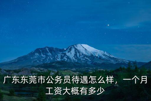 東莞地稅局公務員工資是多少,一個月工資大概有多少