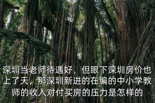 深圳編制老師的工資是多少錢,編制內教師年終能拿多少錢
