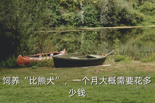 江門比熊犬多少錢一只,一只純種的比熊犬要多少錢