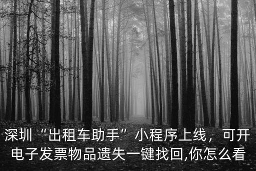 深圳“出租車助手”小程序上線，可開電子發(fā)票物品遺失一鍵找回,你怎么看