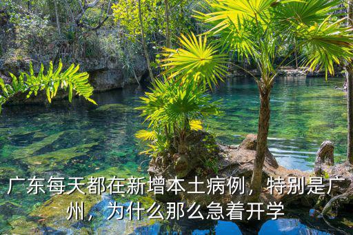 深圳多少天無(wú)新增本土病例,廣東每天都有新增本土病例