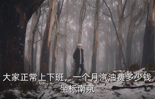 大家正常上下班，一個月汽油費多少錢坐標南京