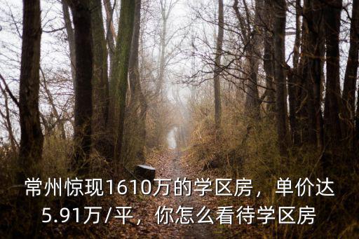 江蘇常州學(xué)區(qū)房房價多少,常州驚現(xiàn)1610萬的學(xué)區(qū)房