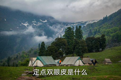 定點雙眼皮是什么