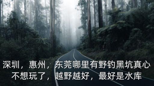 惠州哪里釣魚最快,五一去惠州東江釣魚