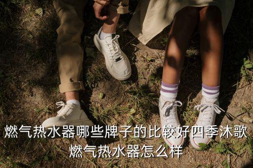 廣東豪力燃氣開水器怎么樣,四季沐歌燃氣熱水器怎么樣